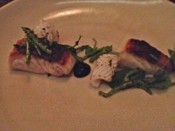 Snapper