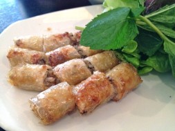 Spring rolls