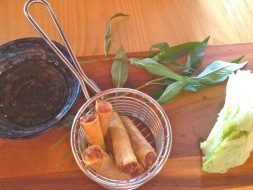 Spring Rolls
