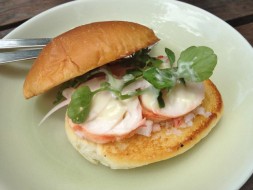 lodbster roll